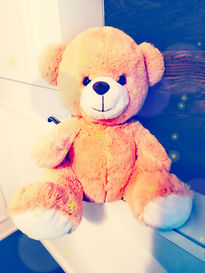 Oso de Peluche...