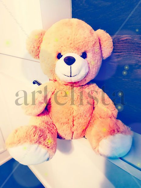 Oso de Peluche...