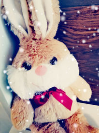 Conejito de Peluche...
