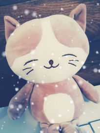 Gatito de Peluche...