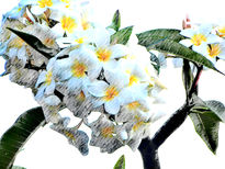 Ramillete de Flores...