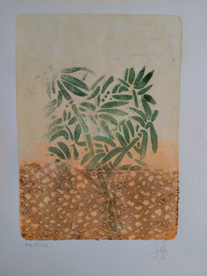 Vestigio vegetal