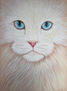 WHITE CAT