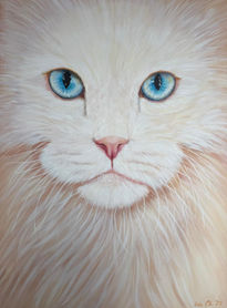 White cat