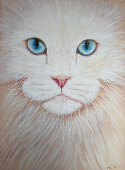 White cat