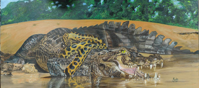 Caiman Oil Canvas Animals