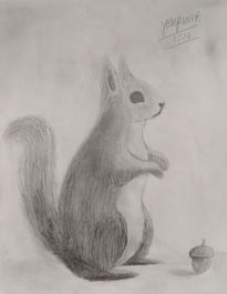 Ardilla