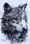 Lobo