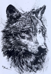 Lobo