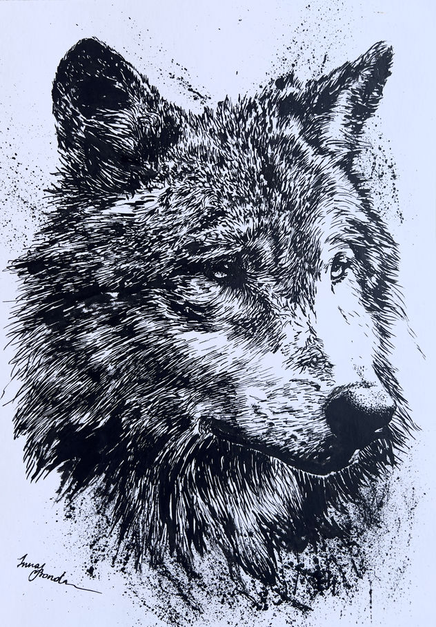 Lobo