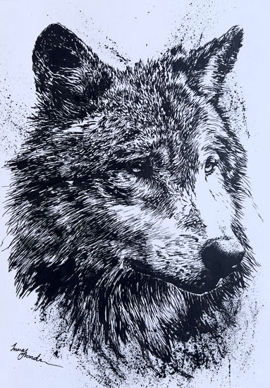 Lobo Tinta