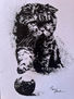 Gato scottish fold