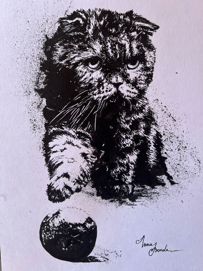 Gato scottish fold Tinta