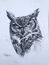 Buho