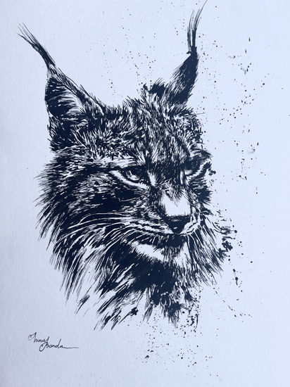 Lince Ink