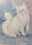 Gato blanco