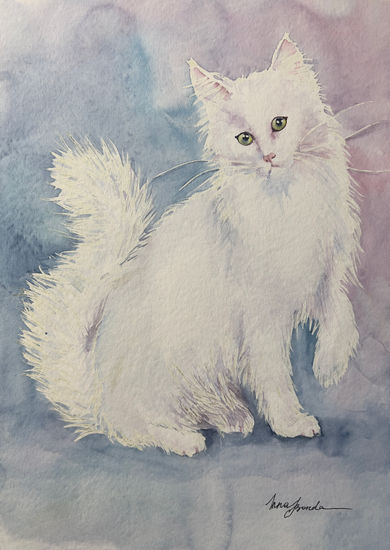 Gato blanco Watercolour Paper Animals