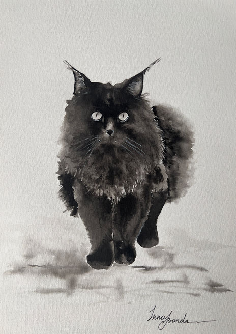 Gato negro
