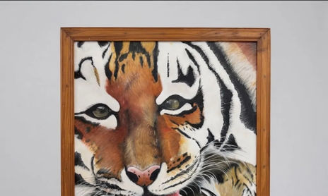 Animales