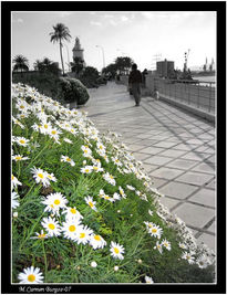 Paseo de la Farola