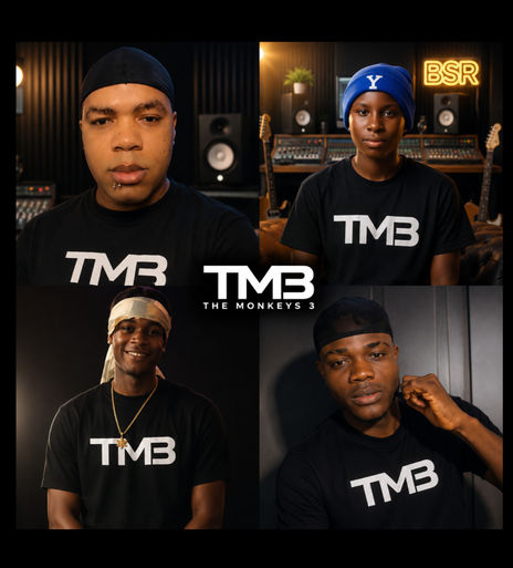 The Monkeys 3 (TM3)...