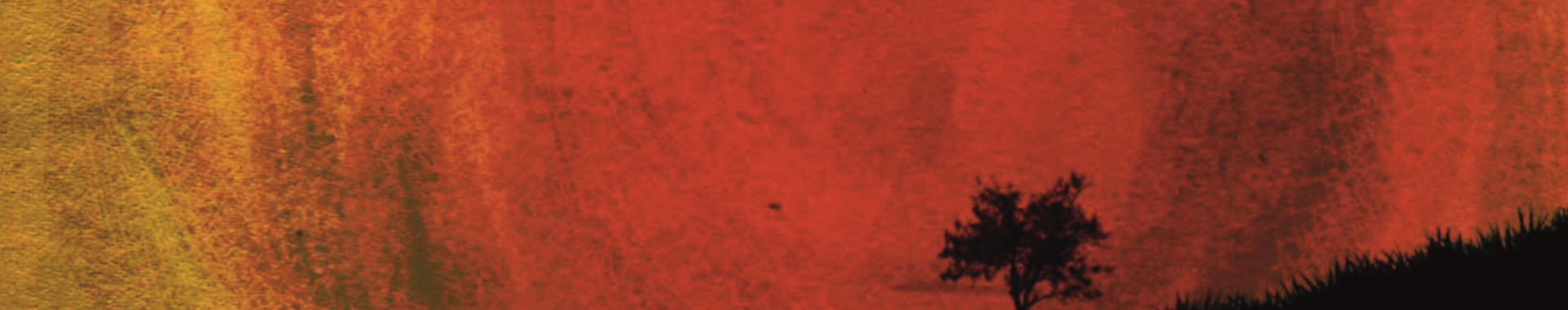 Imagen de portada