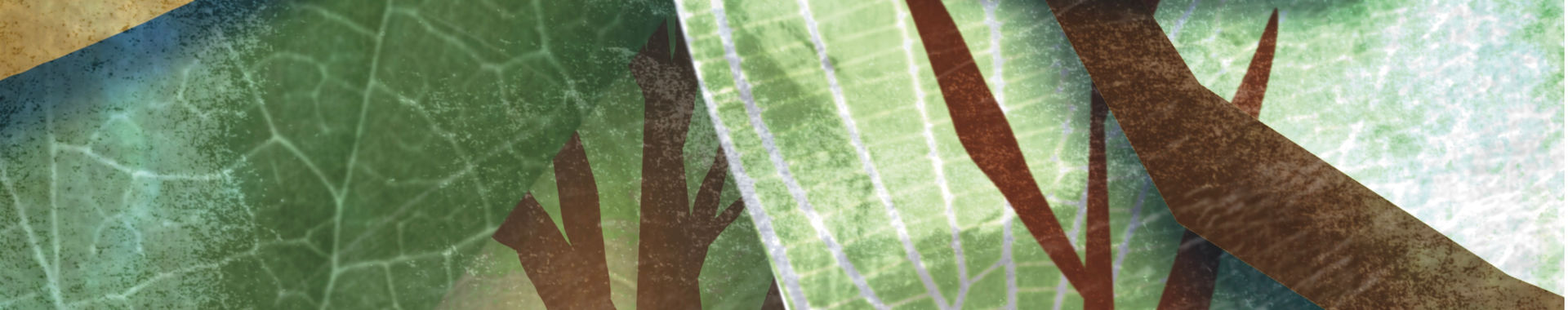 Imagen de portada