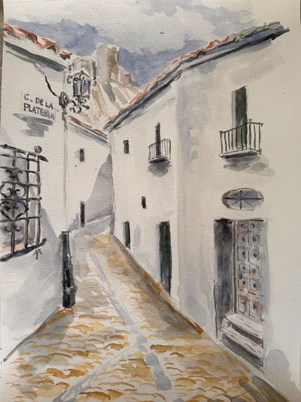 Calle de plateros