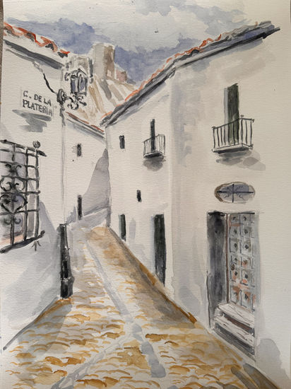Calle de plateros Acrylic Canvas Landscaping