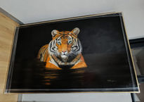 Tigra