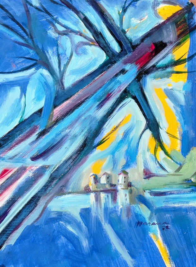 Árbol seco junto al Duero