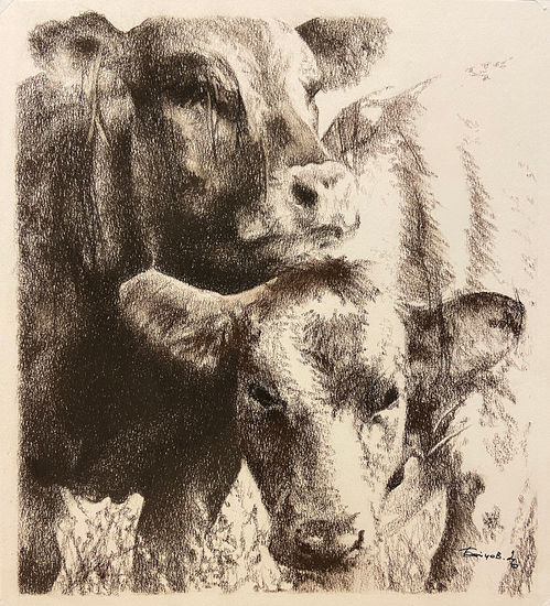 Anatomy of Silence Charcoal