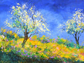 Blooming spring