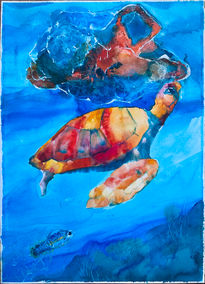 Caretta-atteraC
