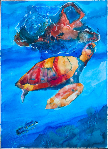 Caretta-atteraC