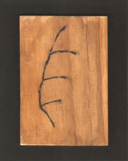 Pluma