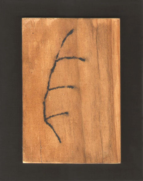 Pluma