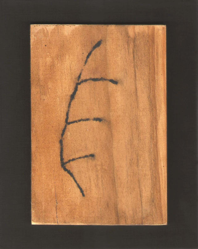 Pluma