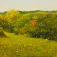 Green Essence. Harmony in the landscape. — front