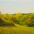 Green Essence. Harmony in the landscape. — front