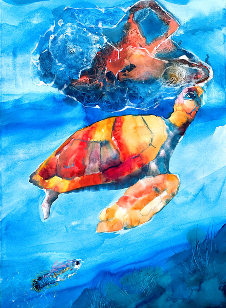 Caretta-atteraC