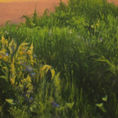 Vesper contemplationis et meditationis — detail