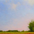 Spring and color — detail