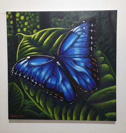 Mariposa Morpho de...