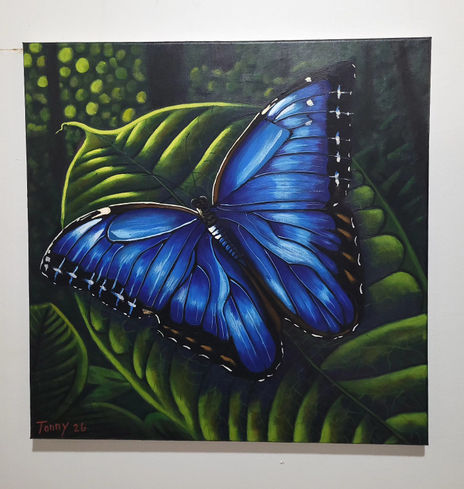 Mariposa Morpho de...