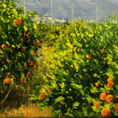 Pipa Mountain: View from Naranjales — detail