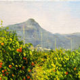 Pipa Mountain: View from Naranjales — detail