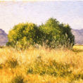Surroundings of Moncofa: Reflection and Serenity — detail