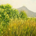 Pipa mountain from Moncofa — detail