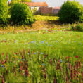 Landscape of Aragon — detail
